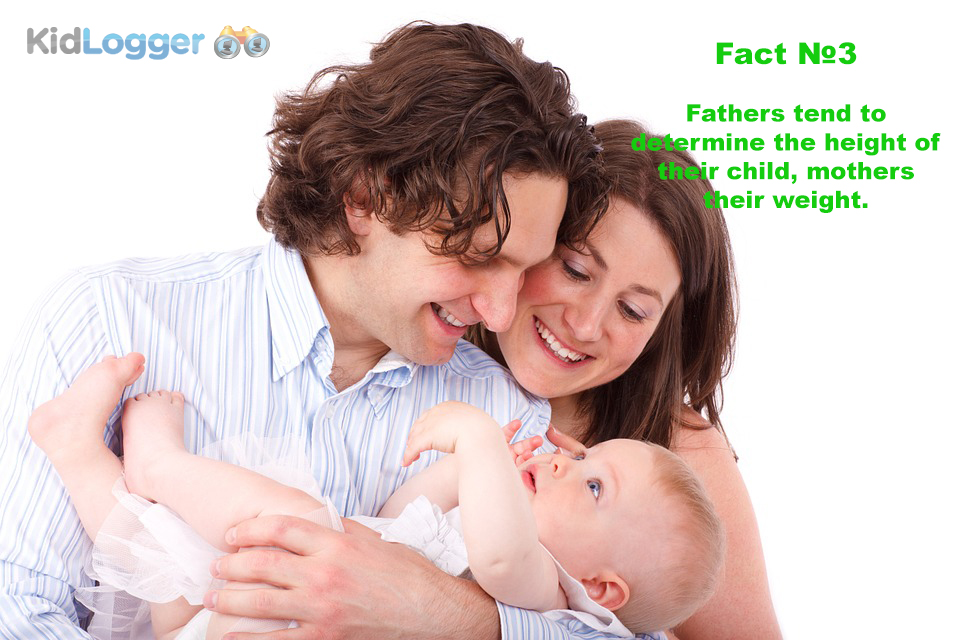 Fathers tend to determine the height of their child, mothers their weight.