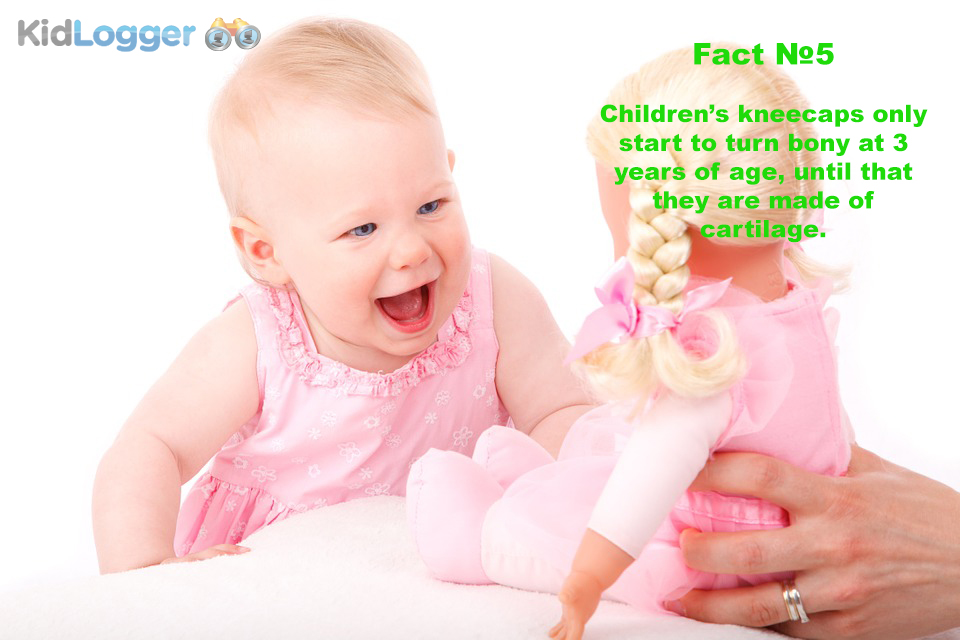 Children’s kneecaps only start to turn bony at 3 years of age, until that they are made of cartilage.