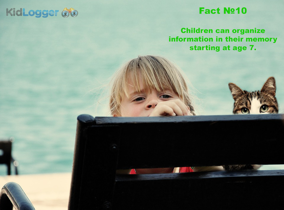 Children can organize information in their memory starting at age 7.